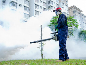  - TPHCM: Tăng cường phòng chống dịch bệnh trong mùa mưa