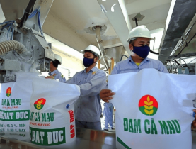  - Đạm Cà Mau bứt tốc trên sân chơi quốc tế, xuất khẩu lập đỉnh doanh thu