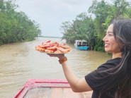 Du khách thỏa thích check-in rừng thủy liễu ở 
