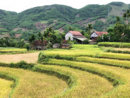 Du ngoạn rẻo cao Quảng Ngãi