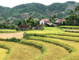  - Du ngoạn rẻo cao Quảng Ngãi
