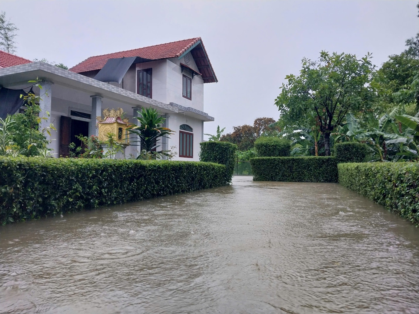 Ảnh: Mưa lớn gây ngập lụt diện rộng, người dân vùng trũng ở Huế đi lại bằng ghe - 10