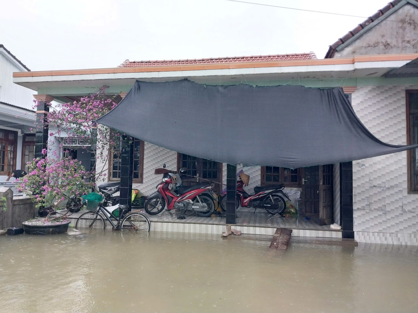 Ảnh: Mưa lớn gây ngập lụt diện rộng, người dân vùng trũng ở Huế đi lại bằng ghe - 13