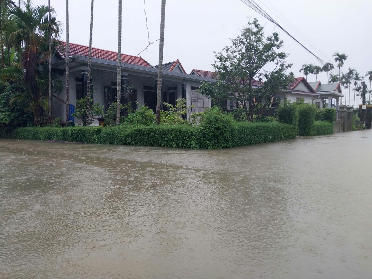 Ảnh: Mưa lớn gây ngập lụt diện rộng, người dân vùng trũng ở Huế đi lại bằng ghe - 9