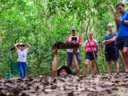 TP.HCM đã có 60 tour tuyến mang màu sắc riêng biệt