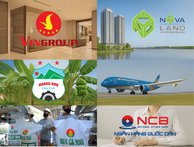 Doanh nghiệp 24/7: Tiêu điểm Vingroup, Novaland - 1