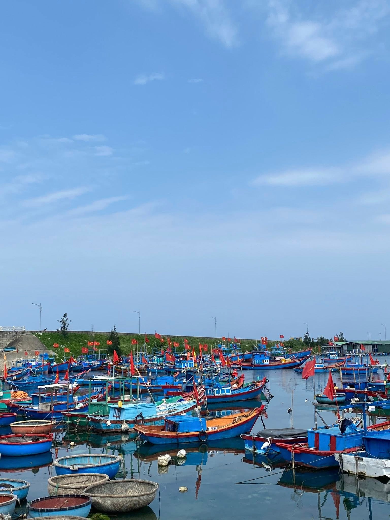 Tự thưởng cho bản thân chuyến đi dài ngày ở Lý Sơn - 6