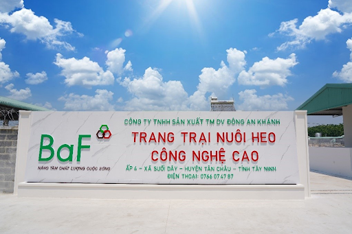 Quỹ ETF ngoại cơ cấu danh mục: Gọi tên duy nhất cổ phiếu BAF - 1