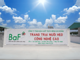  - Quỹ ETF ngoại cơ cấu danh mục: Gọi tên duy nhất cổ phiếu BAF