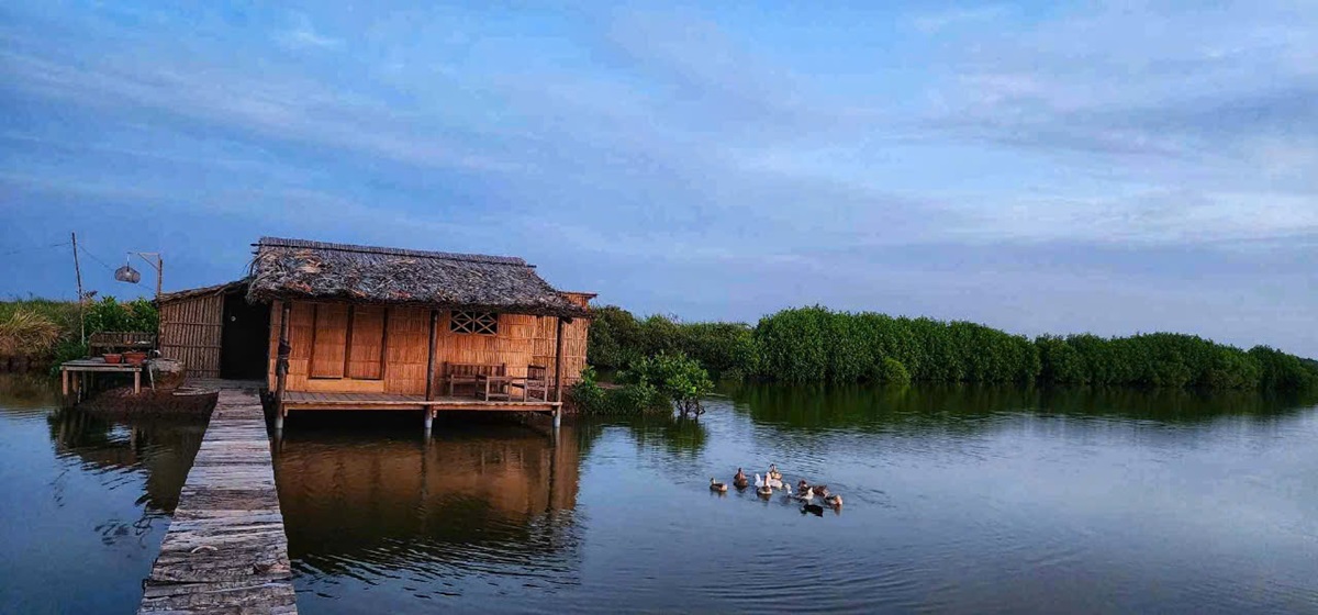 hanh trinh ‘nang niu que minh’ cua doi vo chong tre o xu dua - 10