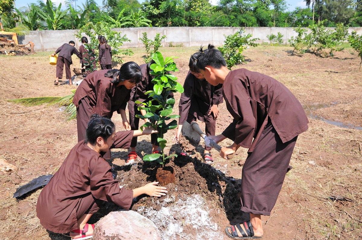 mam xanh cua du lich khong phat thai o ben tre - 2