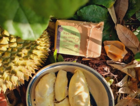  - Kẹo dừa Bến Tre: Món quà quê mang mùi vị quê hương