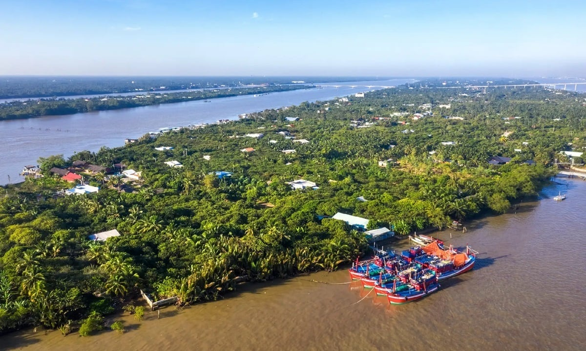 Khám phá Bến Tre: Ghé cồn Phú Đa thưởng thức ốc gạo - 1
