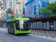 TP.HCM thành lập Tổ công tác tham mưu thực hiện chuyển đổi xanh