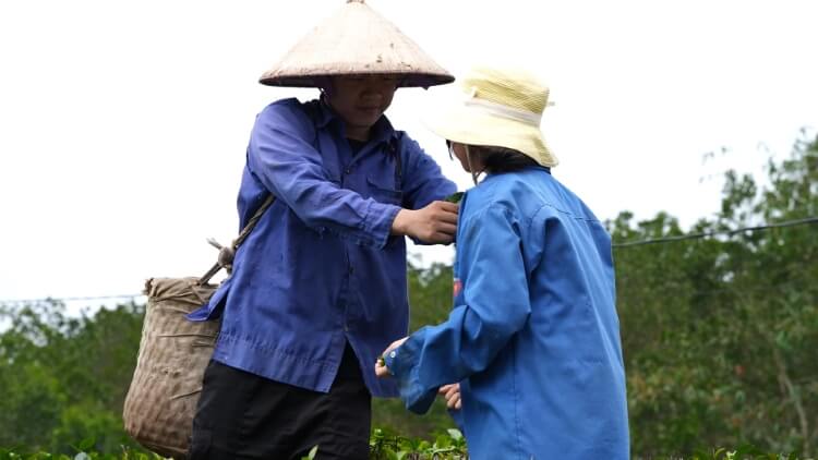 “My Sói” Thu Quỳnh: Tôi chưa nhận vai chính vì muốn dành nhiều thời gian bên các con - 5