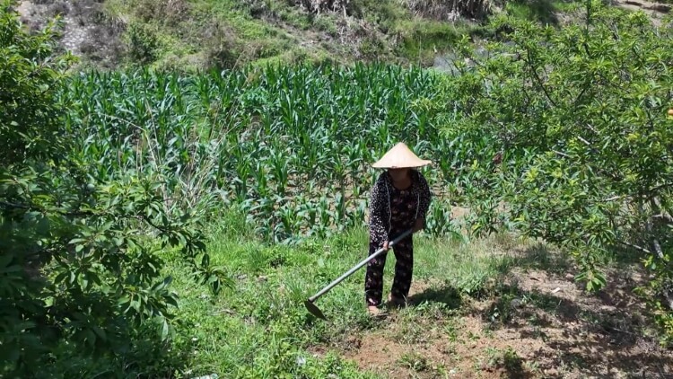 Diễn viên Thu Quỳnh và ca sĩ JayKii góp sức mang về hơn 100 triệu đồng cho các em nhỏ mồ côi - 4