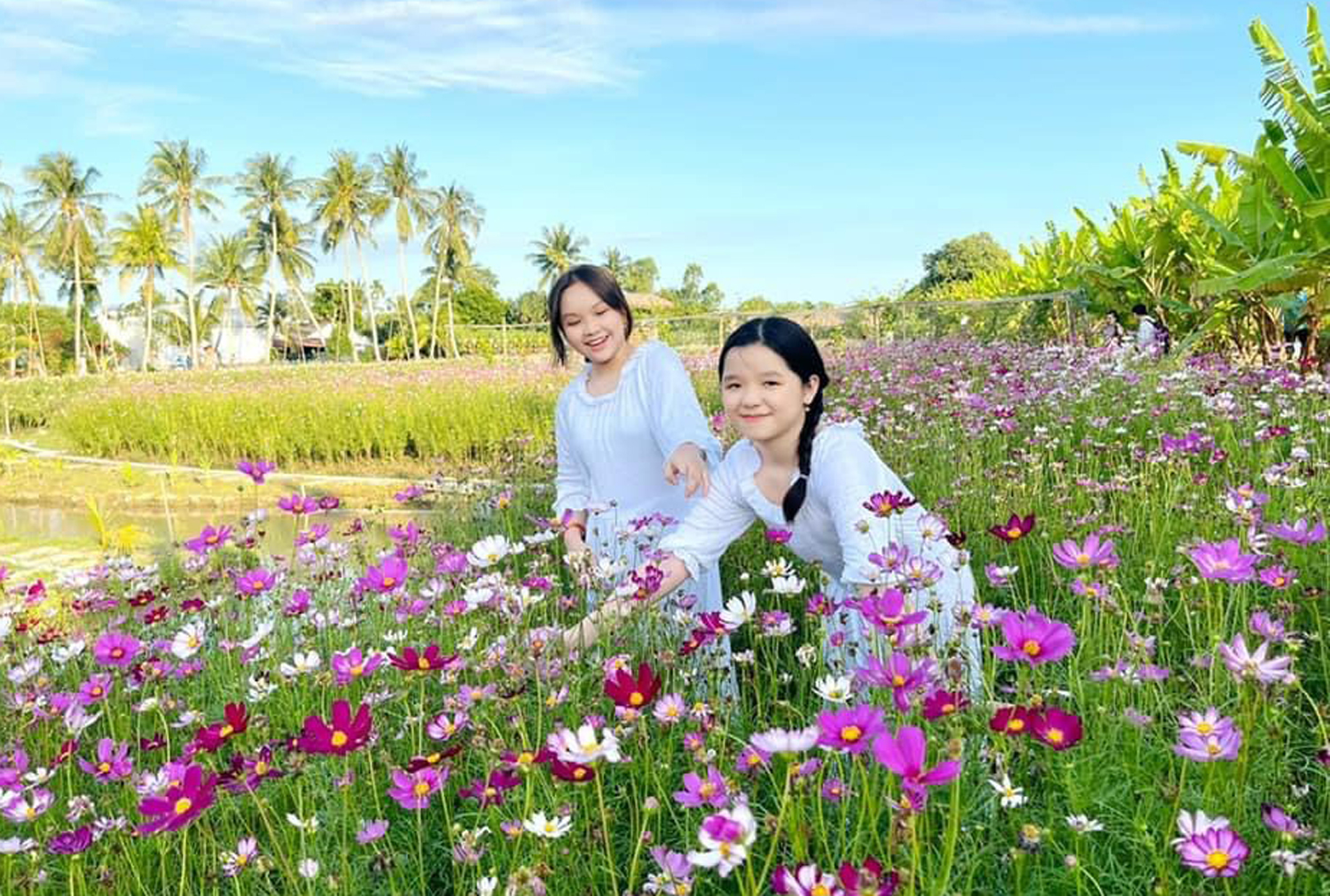 Cà Mau sau hợp nhất: Nhà nhà làm du lịch - 2