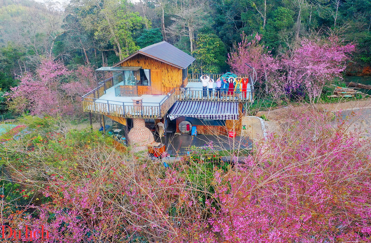 sau sap nhap, quang ngai dung truoc ‘thoi co vang’ phat trien du lich - 10