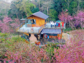  - Sau sáp nhập, Quảng Ngãi đứng trước ‘thời cơ vàng’ phát triển du lịch