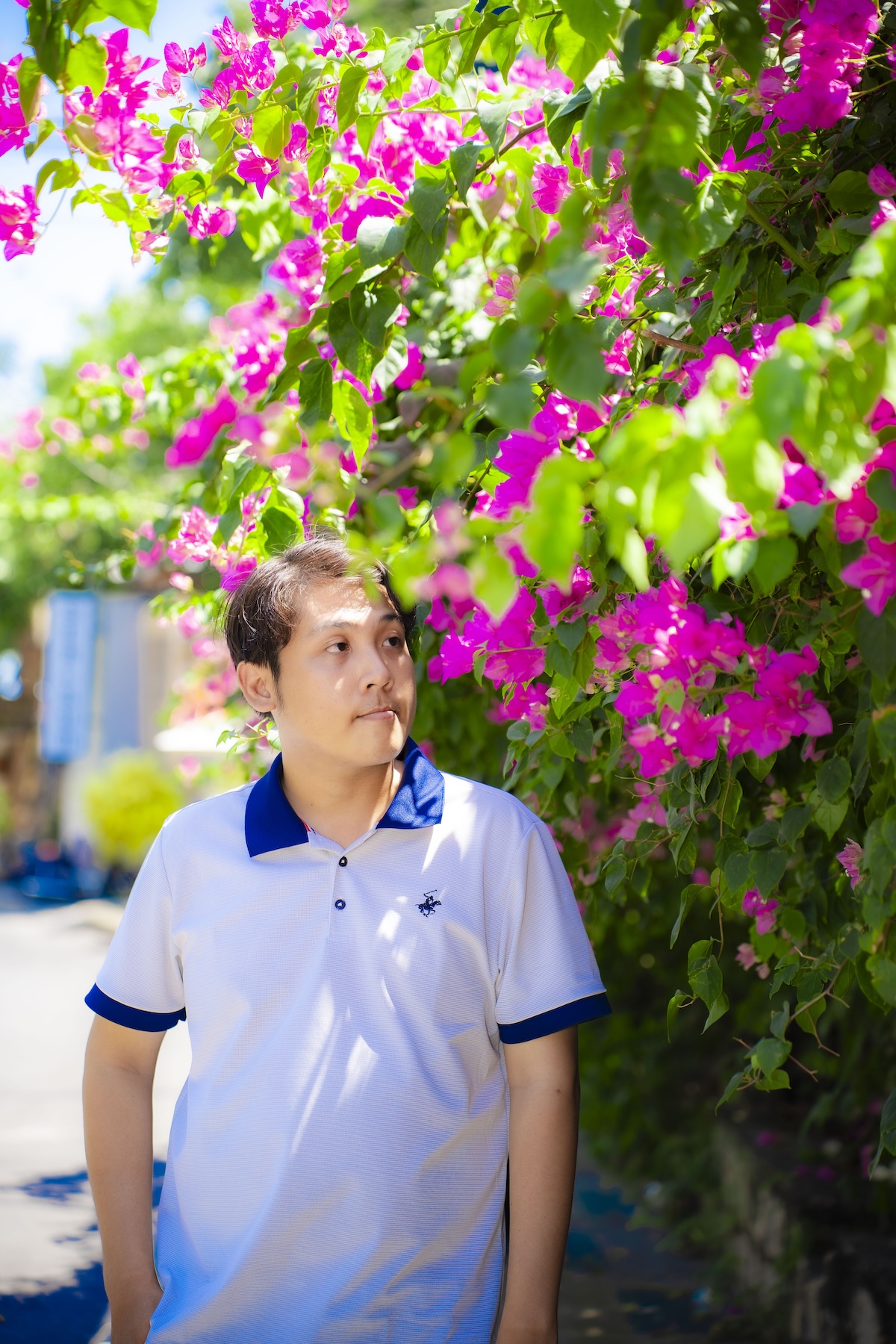 hoa giay no ro, nhieu cung duong tp.hcm tro thanh diem check-in - 4