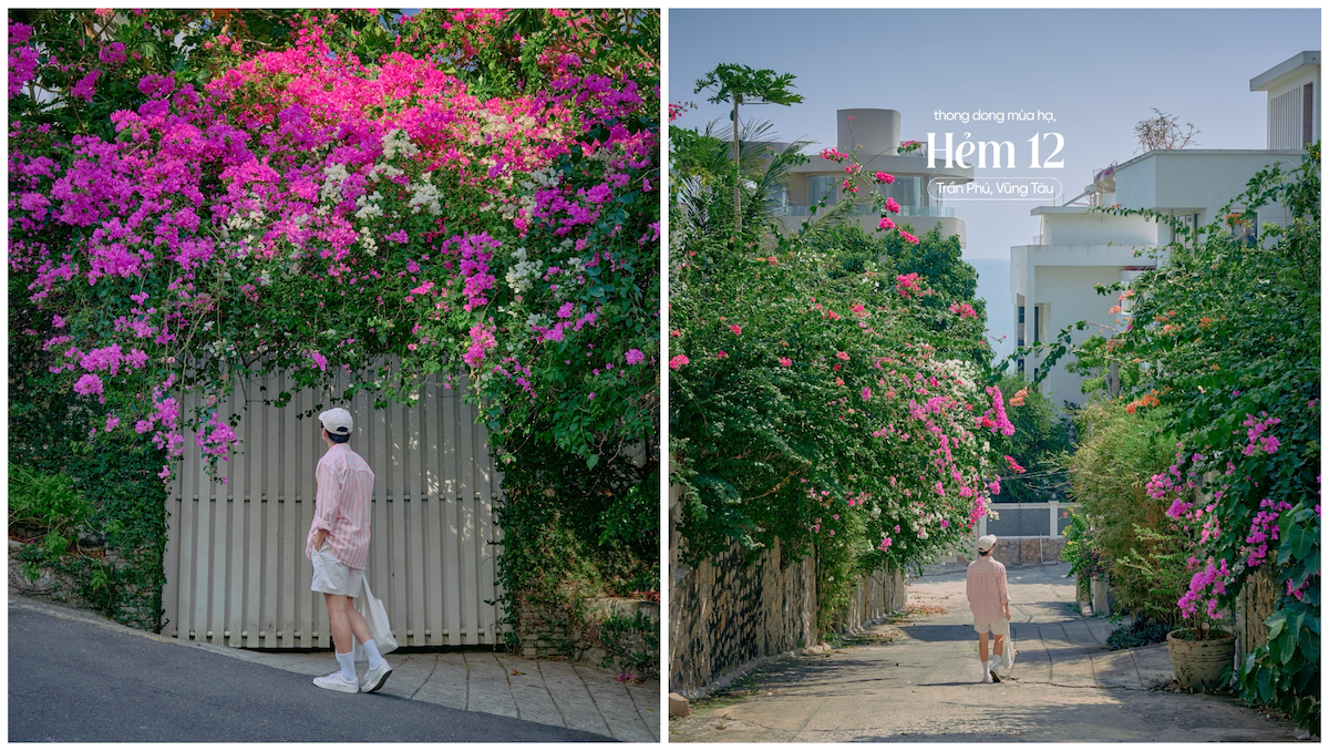 hoa giay no ro, nhieu cung duong tp.hcm tro thanh diem check-in - 10