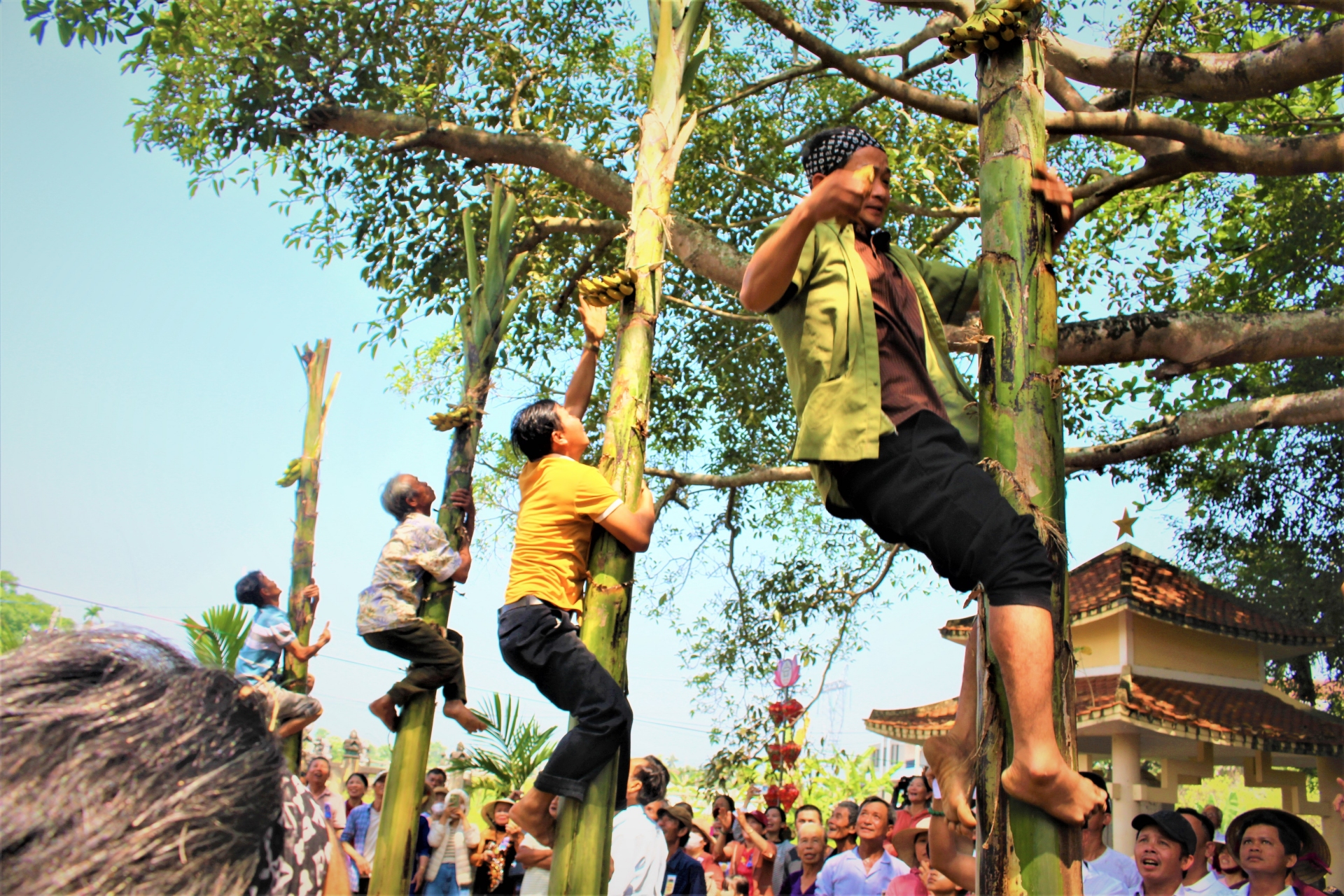 Rộn ràng lễ hội Đình làng Bồ Bản - 5