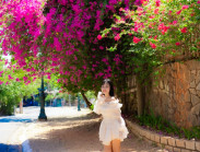 Hoa giấy nở rộ, nhiều cung đường TP.HCM trở thành điểm check-in