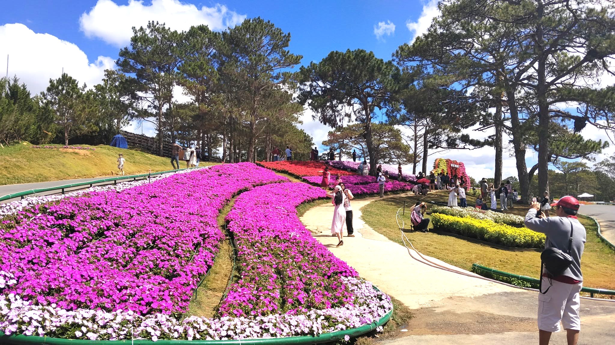 Lâm Đồng tung ra loạt chương trình hấp dẫn thu hút du khách - 3