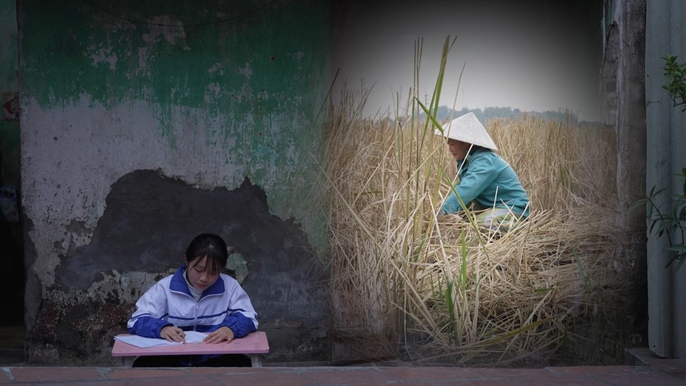 MC Thanh Thảo nghẹn lòng, Bùi Trường Linh xót xa trước gia cảnh mẹ đơn thân, con ngoan hiếu thảo - 2