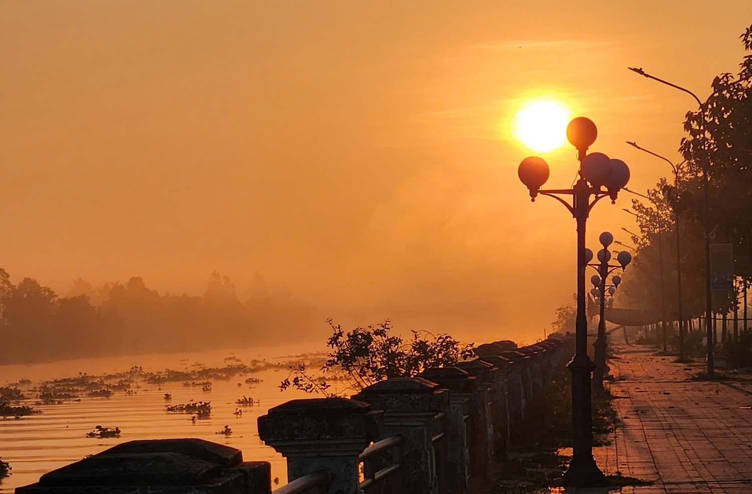 Ngắm bình minh trên sông Trăng ở Cần Thơ - 5