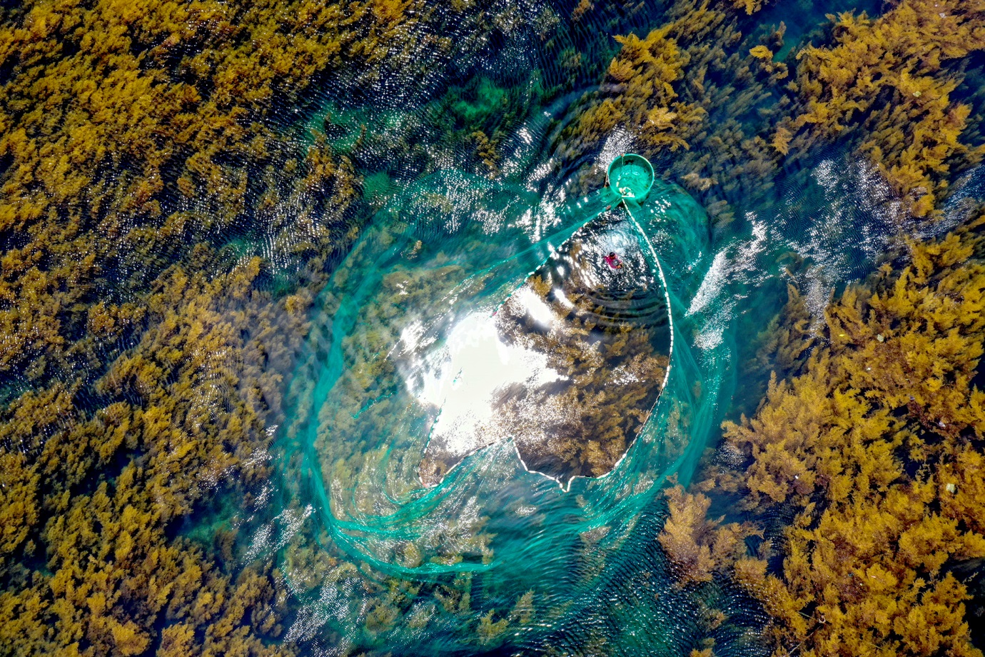 lang chai nhon hai hoang so doc dao ben ban dao hai giang - 4