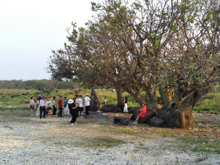 Đặc khu Cồn Cỏ: Tiềm năng lớn nhưng cần hài hòa giữa bảo tồn và khai thác du lịch - 4