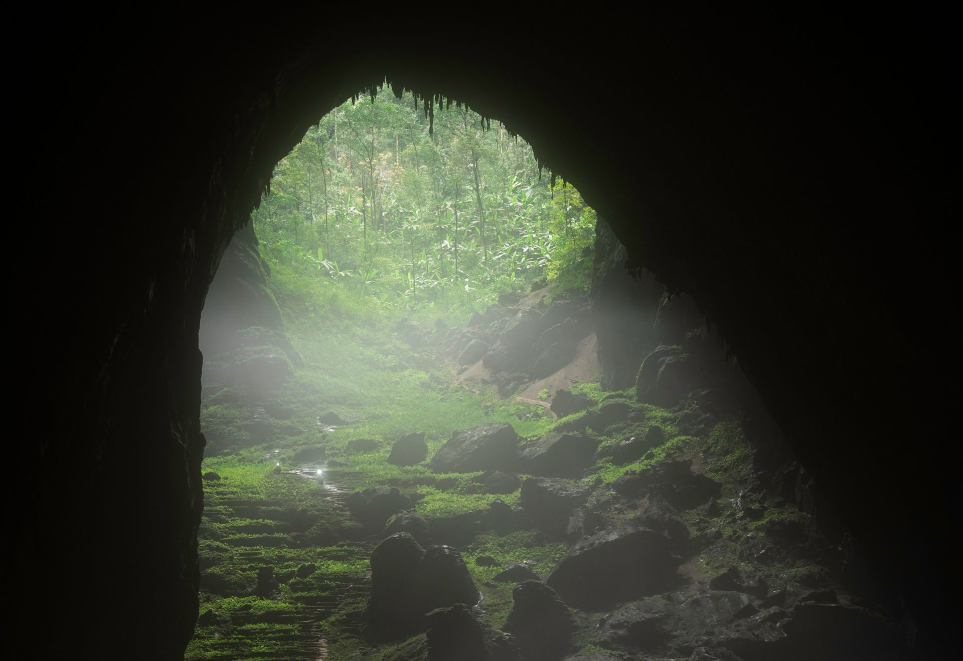 du lich viet nam dạt ket qua ruc ro nhat trong lich su - 5