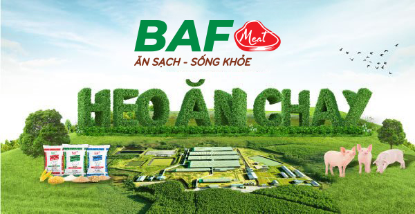 BAF tham vọng bứt phá từ mô hình chăn nuôi công nghệ cao - 1