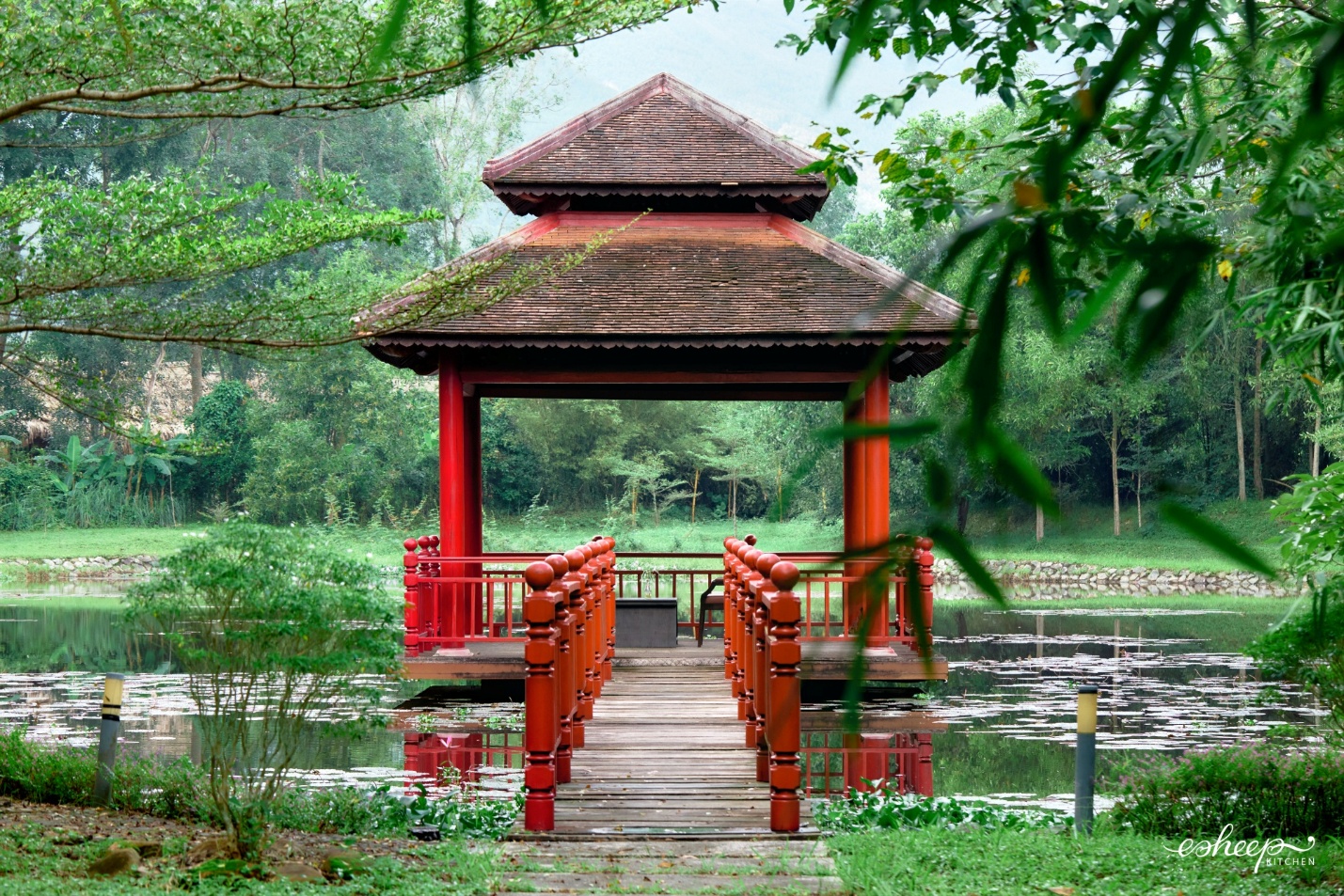 Alba Wellness Valley by Fusion - Viên ngọc xanh ẩn mình giữa núi non xứ Huế - 9