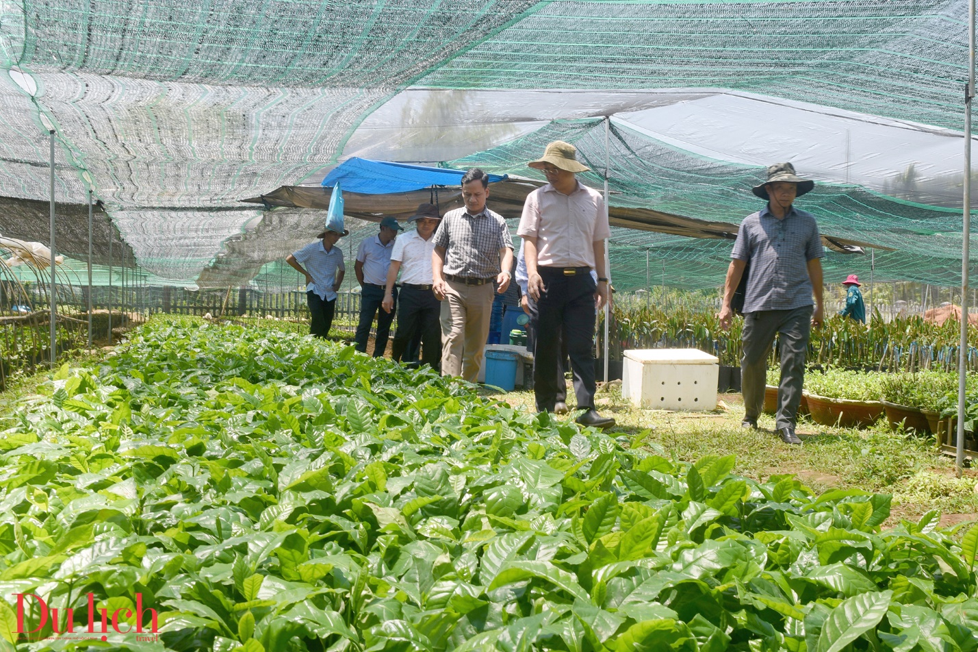 khong ngung tim cai moi giup nguoi dan vung cao quang ngai xoa ngheo - 7