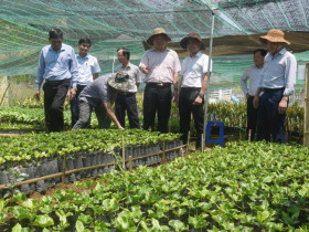  - Không ngừng tìm cái mới giúp người dân vùng cao Quảng Ngãi xóa nghèo