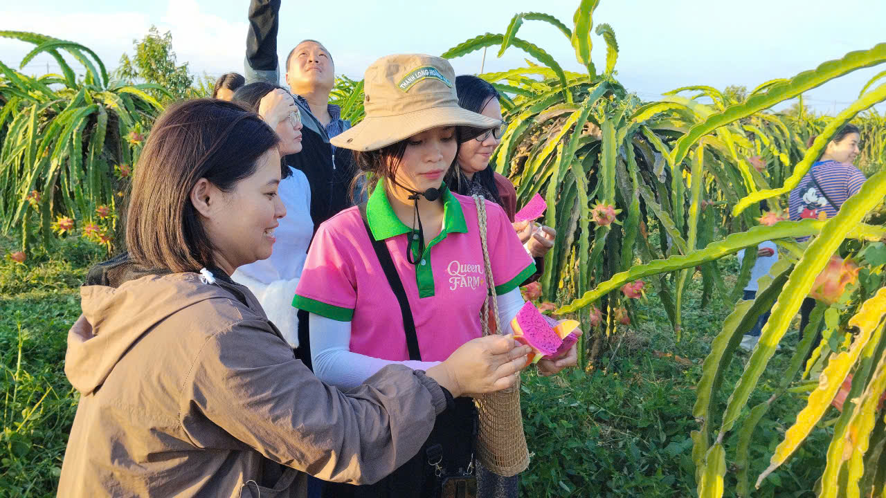 Lâm Đồng kích cầu du lịch với nhiều gói khuyến mãi, giảm giá, kèm quà tặng hấp dẫn - 7