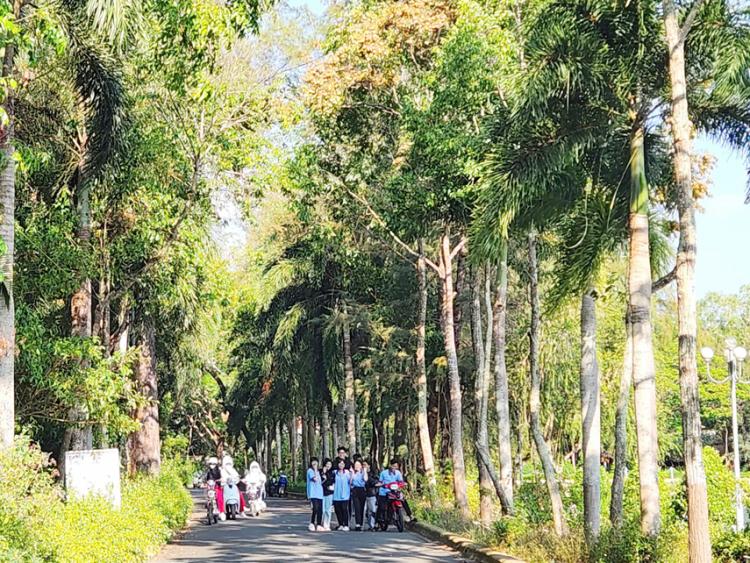 Cần Thơ chỉnh trang đô thị phường Sóc Trăng để hút khách du lịch