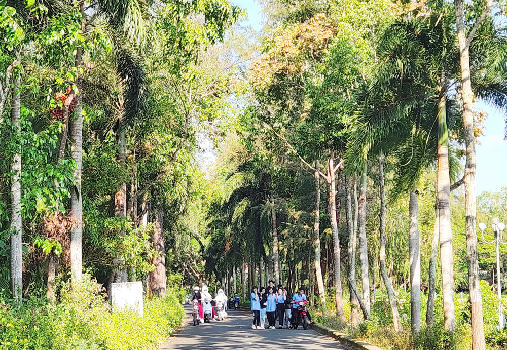 Cần Thơ chỉnh trang đô thị phường Sóc Trăng để hút khách du lịch - 2