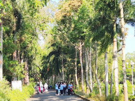  - Cần Thơ chỉnh trang đô thị phường Sóc Trăng để hút khách du lịch