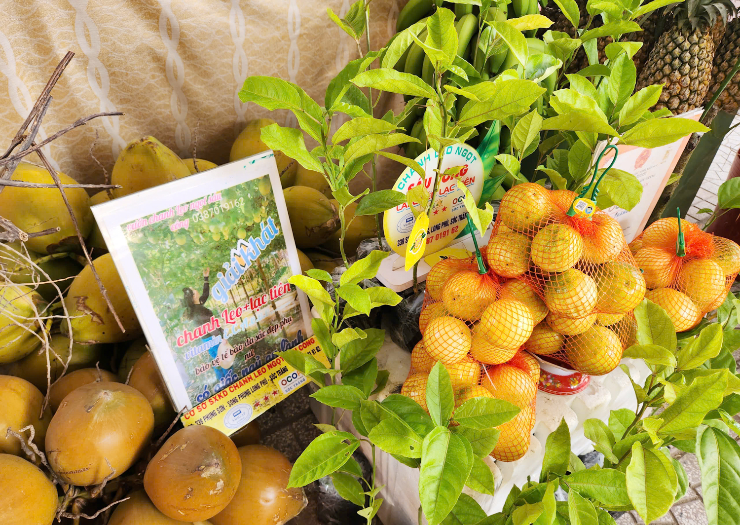 Hàng nghìn du khách xem đua ghe ngo mini trên cạn ở Cần Thơ - 17