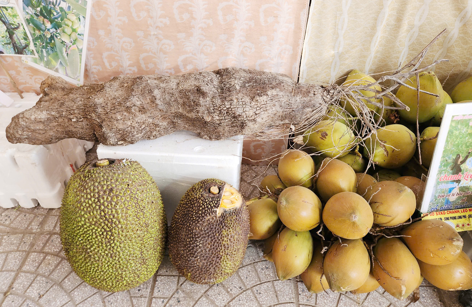 Hàng nghìn du khách xem đua ghe ngo mini trên cạn ở Cần Thơ - 18