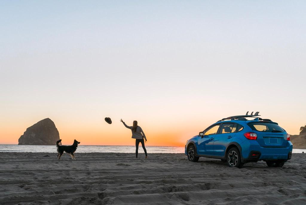 Nhiều du khách Việt lựa chọn nơi du lịch phụ thuộc vào ... thú cưng! - 1