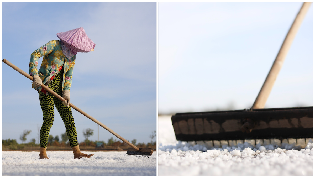 giu nghe muoi trong tung khuon hinh - 5