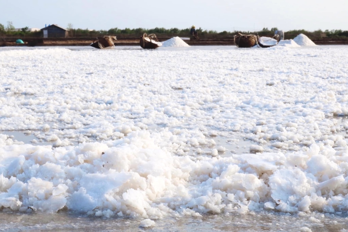 giu nghe muoi trong tung khuon hinh - 9