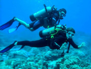 Quảng Ngãi quảng bá ‘đất và người” đến với du khách quốc tế