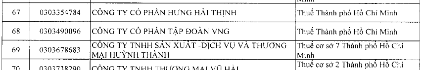 Doanh thu vượt 10.000 tỷ đồng, VNG vẫn báo lỗ và thuộc diện rà soát thuế - 2