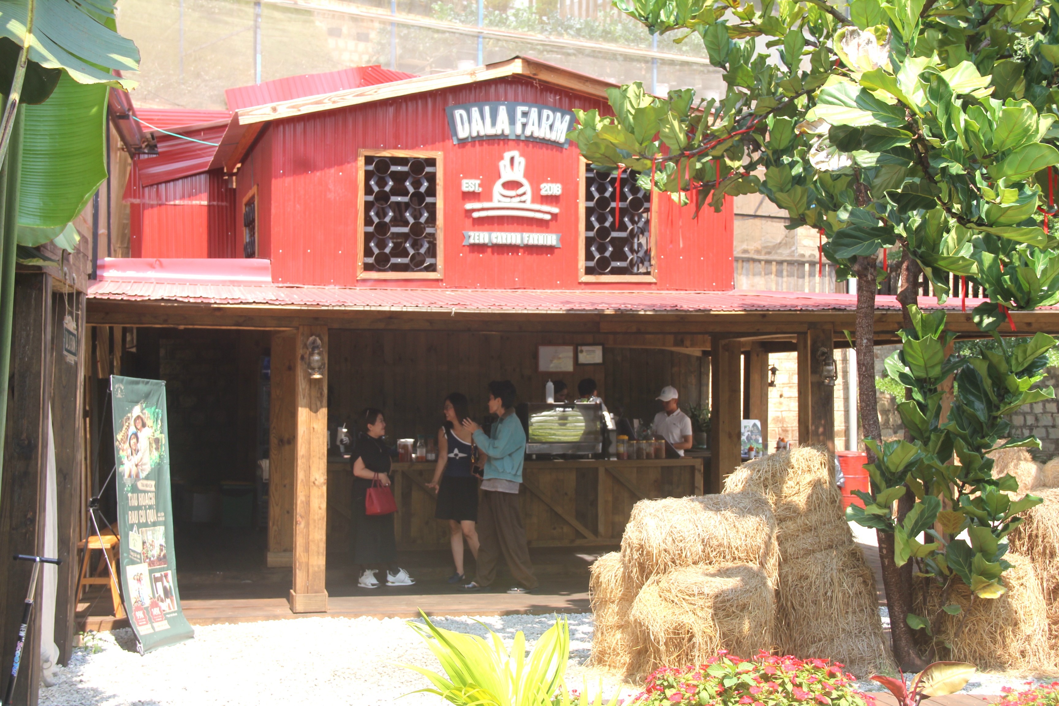 Du khách trải nghiệm thu hoạch và ăn rau sạch tại chỗ ở Đà Lạt - 1