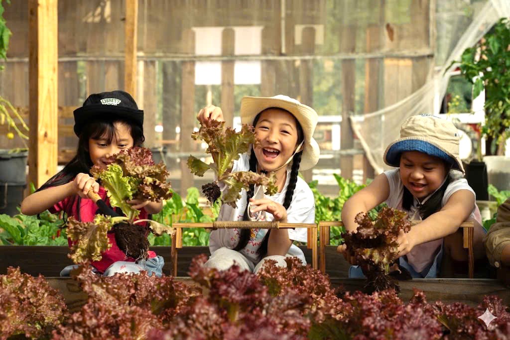 Du khách trải nghiệm thu hoạch và ăn rau sạch tại chỗ ở Đà Lạt - 2